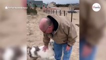 Taub-blinder Hund sieht alten Mann nach einem Jahr wieder: Es ist zum Weinen!