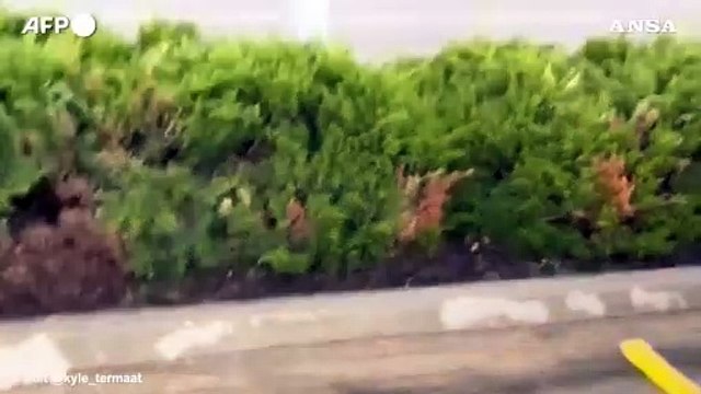 Stati Uniti, un tornado si abbatte sulla citta' di Lincoln