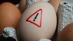 Signs Eggs Are Not Safe To Eat