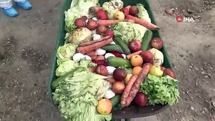 Erasmuslu öğrenciler Bursa Hayvanat Bahçesi’nde