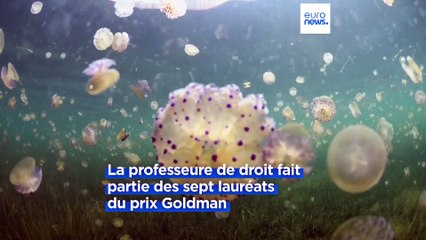 Une activiste espagnole lauréate du prix Goldman pour l'environnement