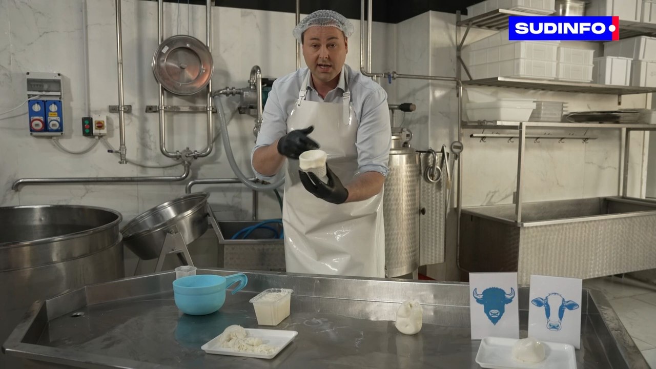 Coûte que coûte: les différentes mozzarella