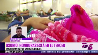 Osorio: 'Honduras está en el tercer lugar con mayor casos de dengue'