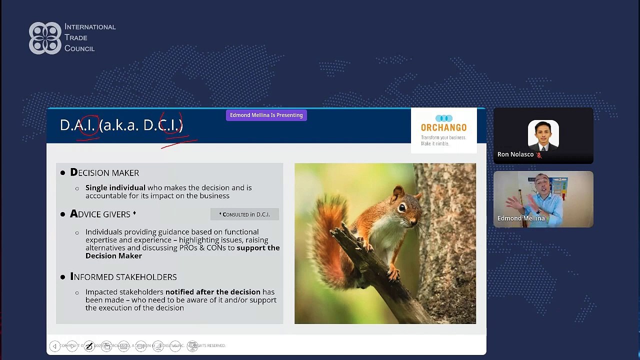 WEBINAR_ Nimble Decision Making with the D.A.I. Model (1)