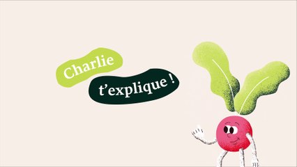 Le pliage d'une tortilla en chausson - C'est la faim des haricots