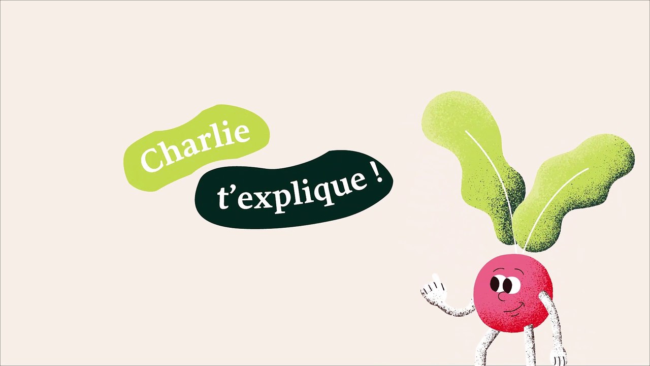 Le pliage d'une tortilla en chausson - C'est la faim des haricots