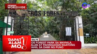 Arroceros Forest Park sa Maynila, pasyalan ng marami ngayong tag-init | Dapat Alam Mo!