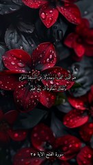 سورة الفتح بصوت الشيخ ياسر الدوسري الاية ٢٥