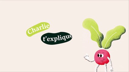 Le concassage des noisettes - C'est la faim des haricots