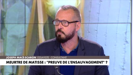 Download Video: Joseph Macé-Scaron : «En France, aujourd'hui, tout parent a peur»