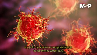 Avance científico: Crean el primer modelo que recrea el desarrollo del cáncer de colon - #MSPCiencia