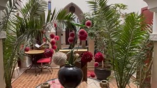 LE PLUS COSY riad de Marrakech : Les Jardins Mandaline