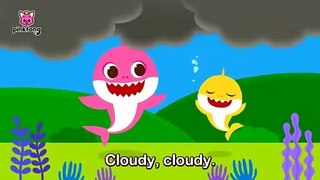 Hows the Weather today Weather for Kids Fun Healthy Habits Song for Kids Pinkfong Baby Shark