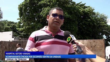 Hospital Getúlio Vargas: acompanhante é picada por escorpião dentro da unidade