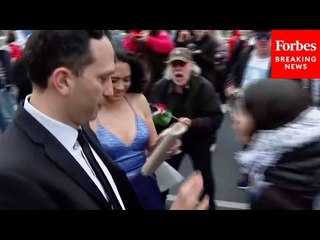 Pro-Palestinian Demonstrators Confront Arriving Guests To White House Correspondents' Dinner
