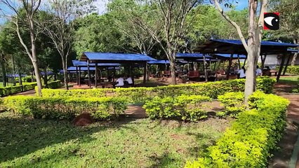 Se celebró una jornada pet friendly en las instalaciones del complejo Crucero Petri