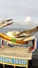 Cette française refait sa vie au Cambodge