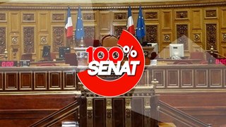 100% Sénat - Commission d'enquête TotalEnergies : Patrick Pouyanné auditionné