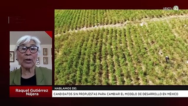 Candidatos sin propuestas para cambiar el modelo de desarrollo en México: Raquel Gutiérrez