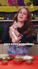 Garfield: Fuera de casa Tráiler