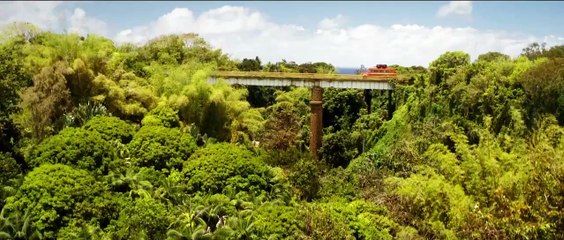 School of Magical Animals 2 Movie