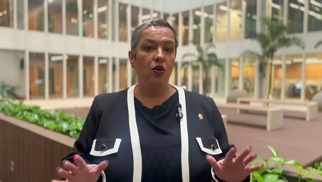 ext-Carolina Delgado, diputada del PLN-290424