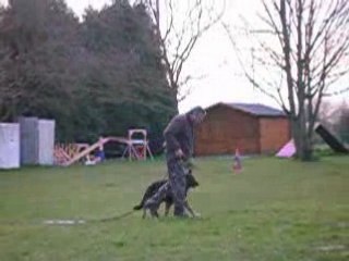 Chiots varna 056