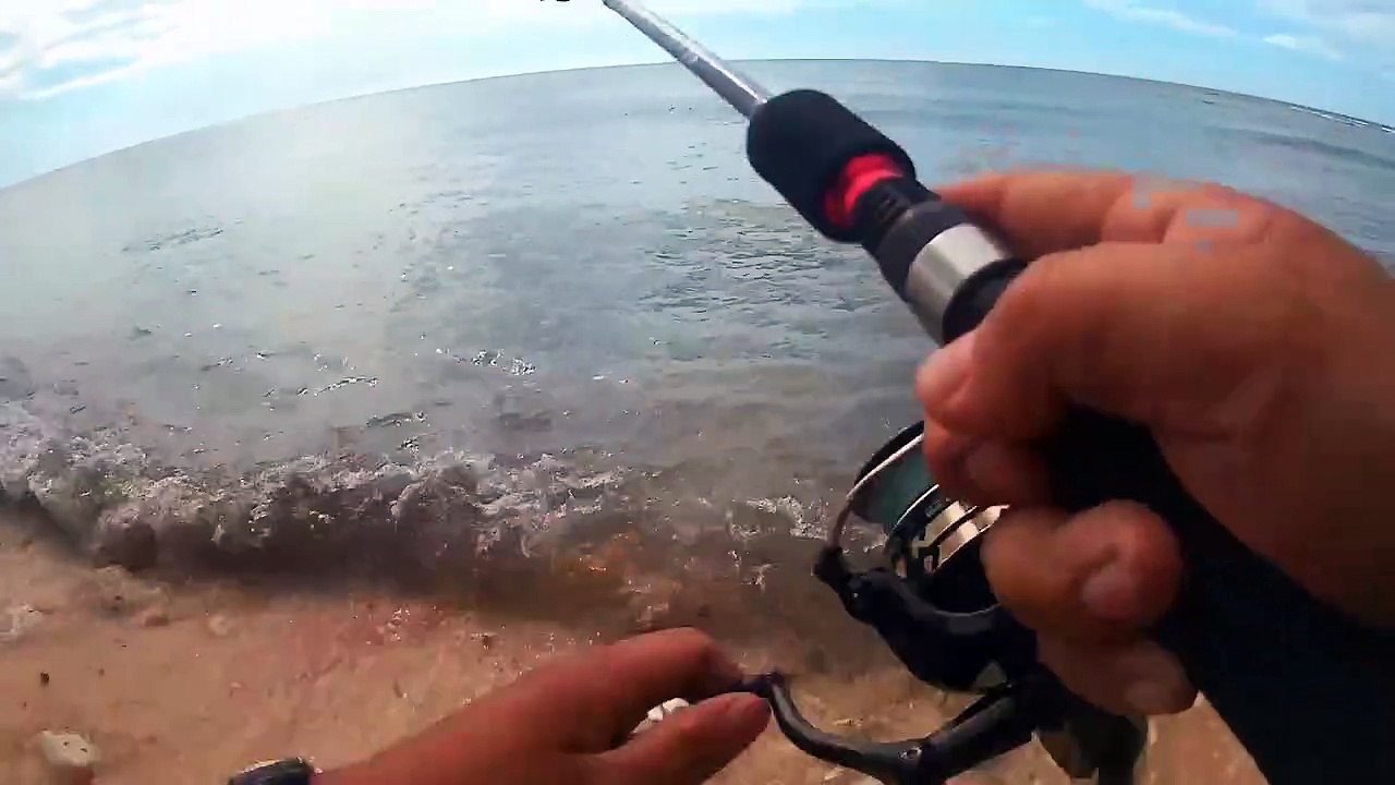 fishing