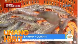 Shrimp, shrimp hooray! | Unang Hirit