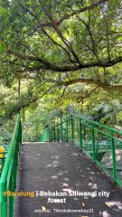 Babakan Siliwangi City Forest, Di Bandung!!