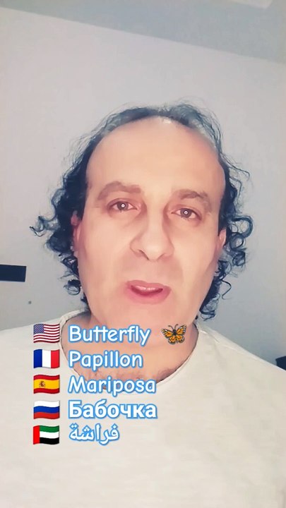 Butterfly Papillon Mariposa Бабочка فراشة