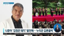 나훈아 ‘김정은 돼지’ 발언에…“속 시원” vs “노인 표 팔려”