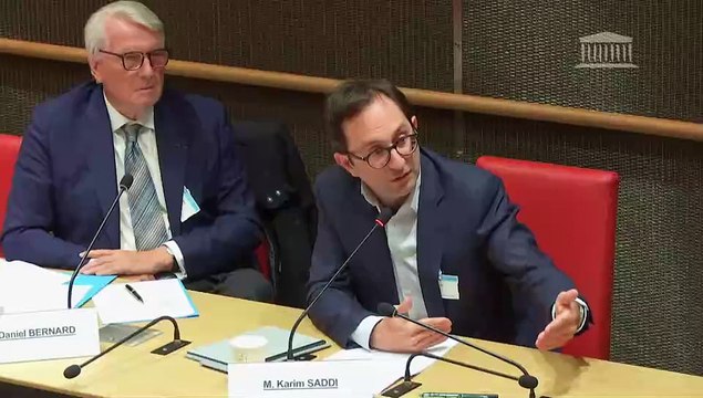 Modèle économique des crèches et qualité de l’accueil des jeunes enfants : Représentants du fonds d’investissement TowerBrook ; Mme Élisabeth Laithier, présidente du comité de filière petite enfance - Lundi 29 avril 2024