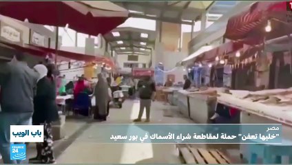 مصر: "خليها تعفن".. حملة لمقاطعة شراء الأسماك في بور سعيد