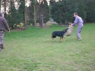 Chiots varna 063