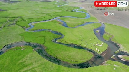 Mendereslerde bahar güzelliği havadan görüntülendi