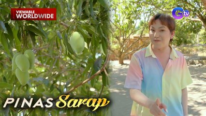 Pepita Curtis, sasabak sa pagsungkit ng 5 kilo ng mangga?! | Pinas Sarap
