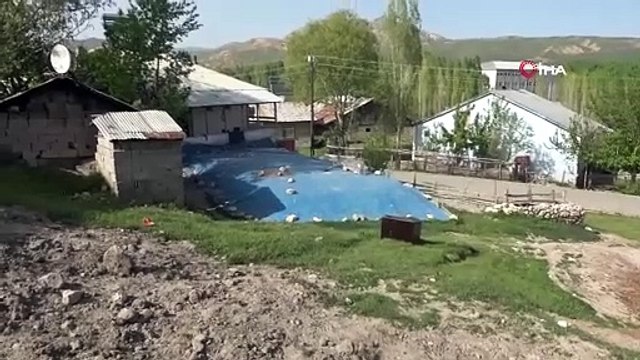 Define avcıları binlerce yıllık tarihi bu hale getirdi