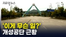 위성 사진 '깜짝'...개성공단 인근 모습 [지금이뉴스]  / YTN