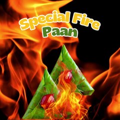Flavour Paan Franchise Model - Paanking