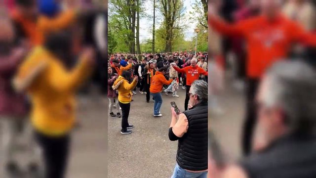 Hollanda'da ’Kral Günü’ erik dalı ile kutlandı