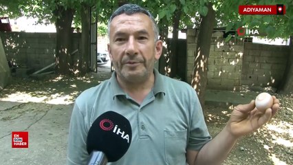 Adıyaman'da üzerinde daire ve ortasında hilal olan yumurta görenleri şaşırtıyor