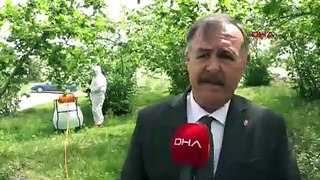Türkiye'nin yaz ayı istilacısı için özel savunma sistemi devrede