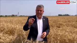 CHP Milletvekili Ayhan Barut: Buğday Taban Fiyatı En Az 15 Lira Olmalı