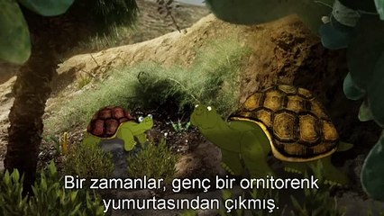 Ornitorenkin neden bu kadar sıradışı görünümü var ?