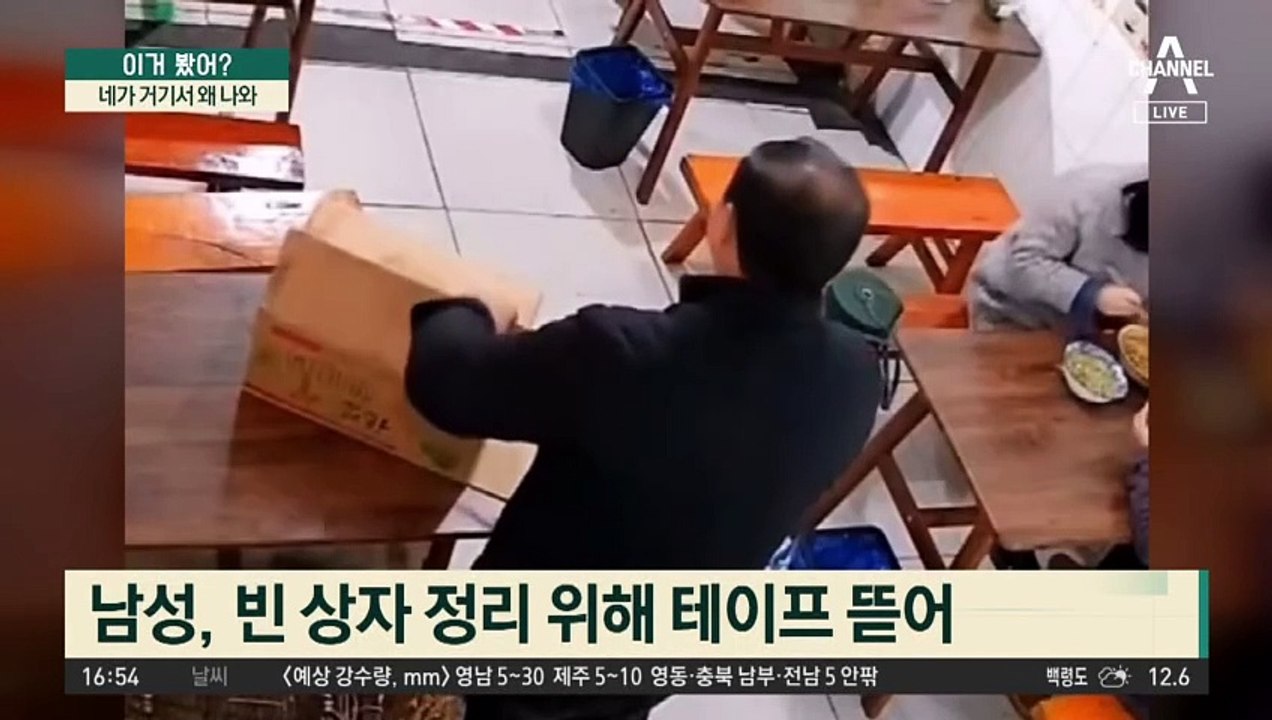 네가 거기서 왜 나와…박스 안 고양이에 ‘깜짝’