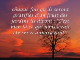 Sourate Al Baqarah Salah Bukhatir