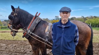 The timeless art of horse ploughing at the Country Skills Day