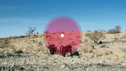 Planète Terre, héros de la nature - 30 avril
