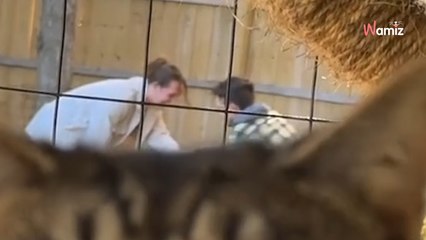 Il filme sa demande en mariage devant 1,9M de personnes : un intrus lui vole la vedette sans vergogne (vidéo)